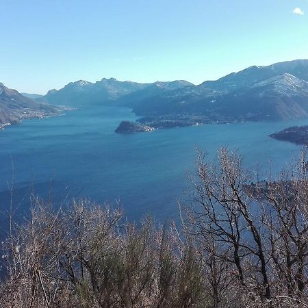 Bellavista Home Плезио Экстерьер фото